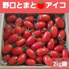 野口とまと アイコ(ミニトマト)2kg