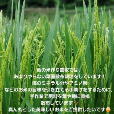 長崎県五島市産「にこまる」5kg