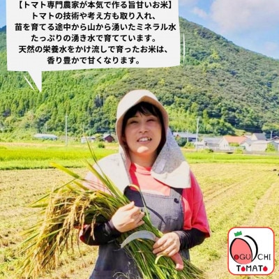 長崎県五島市産「ミルキープリンセス」「ヒノヒカリ」食べ比べ　計4kg