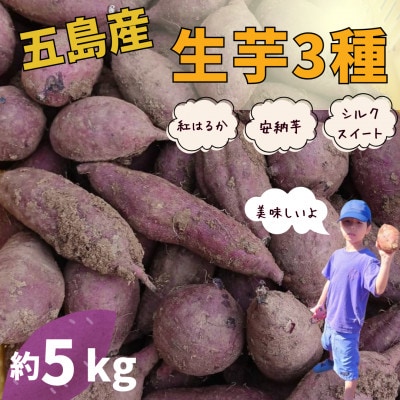 【芋蔵林】さつまいも 3種(安納芋、紅はるか、シルクスイート)約5kg
