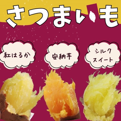 【芋蔵林】さつまいも 3種(安納芋、紅はるか、シルクスイート)約5kg