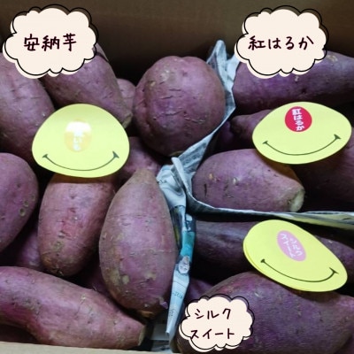 【芋蔵林】さつまいも 3種(安納芋、紅はるか、シルクスイート)約5kg