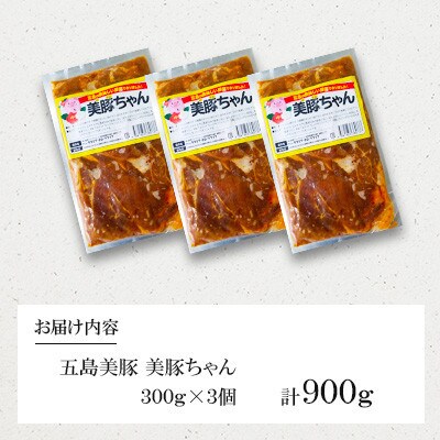 【毎月定期便】五島美豚 美豚ちゃん　3個(各300g)全3回