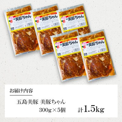 【毎月定期便】五島美豚 美豚ちゃん　5個(各300g)全12回
