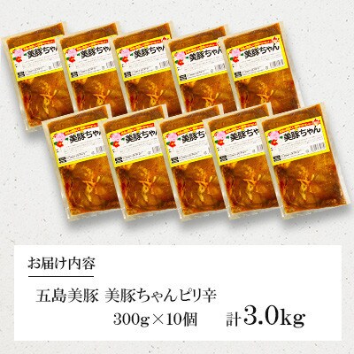 【毎月定期便】五島美豚 美豚ちゃんピリ辛　10個(各300g)全6回