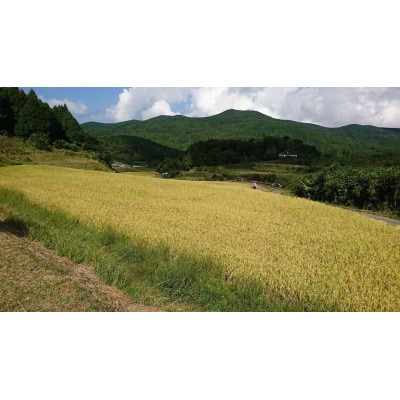 五島産幾久山米　心田　2キロ