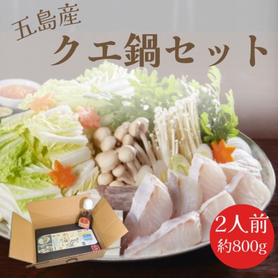 五島列島　五島産天然!!!クエ鍋セット(800g・2人前)自家製ポン酢付き