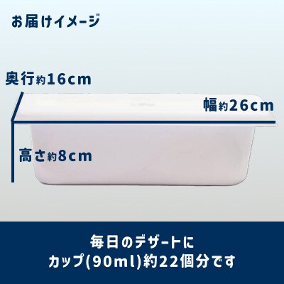 ジェラート 2L [五島塩ミルク]