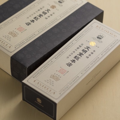 【毎月定期便】文明堂 長崎カステラ2号(1号10切入×2本入)(五島市)全3回