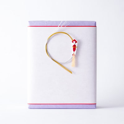 【毎月定期便】【のし付き】文明堂 特撰カステラ文明堂2号(1号×2本)木箱入り(五島市)全12回