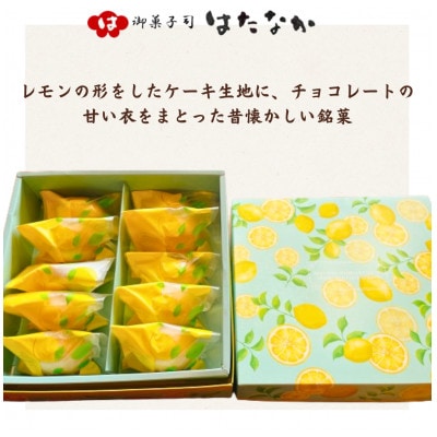 五島市製造のレモンケーキ10個【御菓子司はたなか】