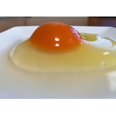 五島の恵み たまご(10個入り×2パック)