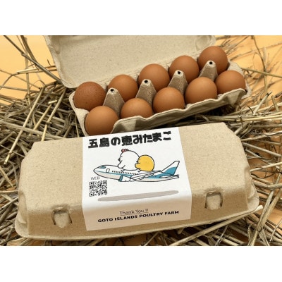 五島の恵み たまご(10個入り×2パック)