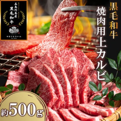 【山口Farm】五島列島産黒毛和牛 焼肉用 上カルビ(約500g)