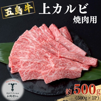 【山口Farm】五島列島産黒毛和牛 焼肉用 上カルビ(約500g)