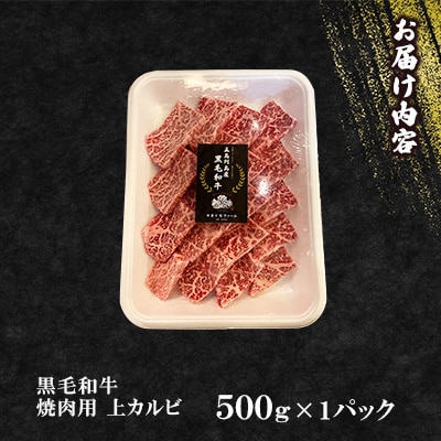【山口Farm】五島列島産黒毛和牛 焼肉用 上カルビ(約500g)
