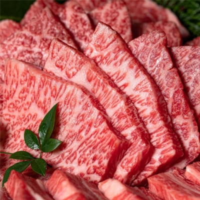【山口Farm】五島列島産黒毛和牛 焼肉用 上カルビ(約500g)