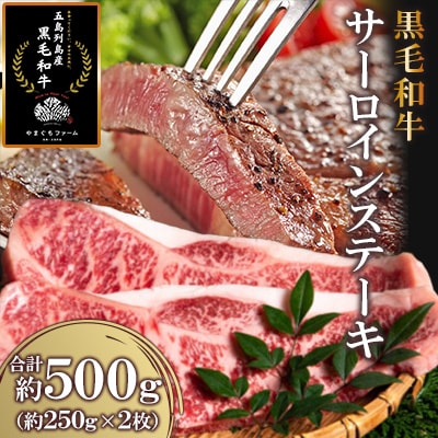 【山口Farm】五島列島産黒毛和牛 サーロインステーキ2枚(1枚約250g)