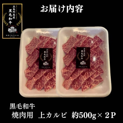 五島牛 上カルビ　焼肉用　1kg(500g×2P)【山口Farm】