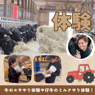 明るい牛舎で牛のエサやり体験や仔牛のミルクやり体験!トラクター試乗写真撮影付き♪2名様