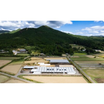 明るい牛舎で牛のエサやり体験や仔牛のミルクやり体験!トラクター試乗写真撮影付き♪2名様