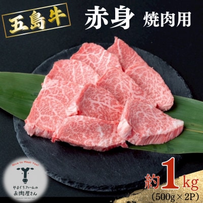 五島牛 赤身焼肉用 約1kg (500g×2P) 【山口Farm】
