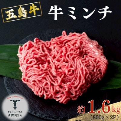 五島牛 牛ミンチ 約1.6kg (800g×2P)【山口Farm】