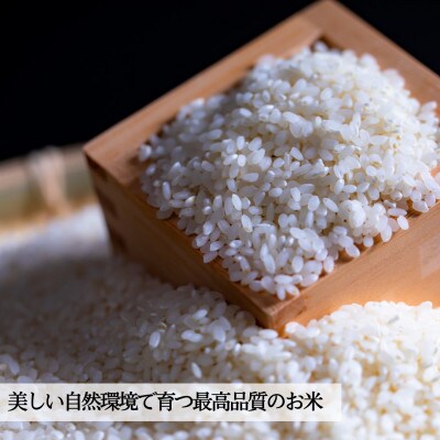 【毎月定期便】【山口Farm】五島列島山内産 ミルキークイーン(5kg)全3回