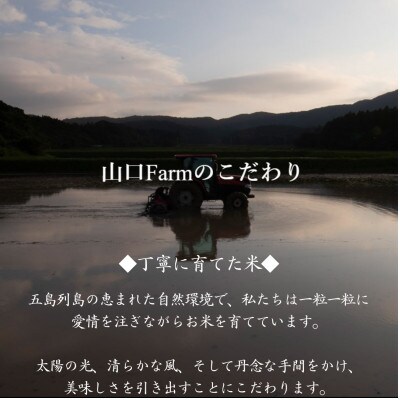 【毎月定期便】【山口Farm】五島列島山内産 ミルキークイーン(5kg)全3回