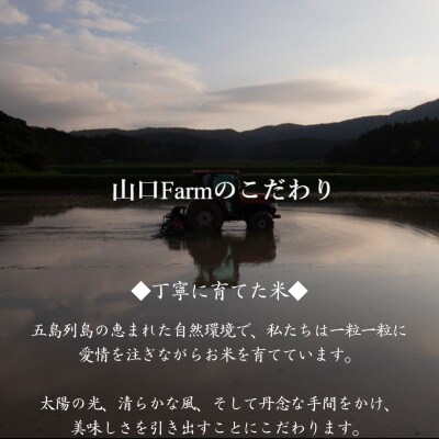 【毎月定期便】【山口Farm】五島列島山内産 ミルキークイーン(10kg)全3回