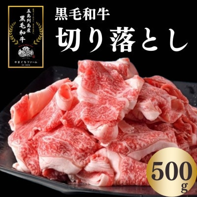 【毎月定期便】【山口Farm】長崎五島列島産 黒毛和牛切り落とし 500g全3回