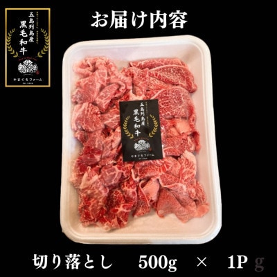 【毎月定期便】【山口Farm】長崎五島列島産 黒毛和牛切り落とし 500g全3回