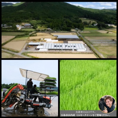 【発送月固定定期便】五島列島山内産 ミルキークイーン(5kg)【山口Farm】全3回