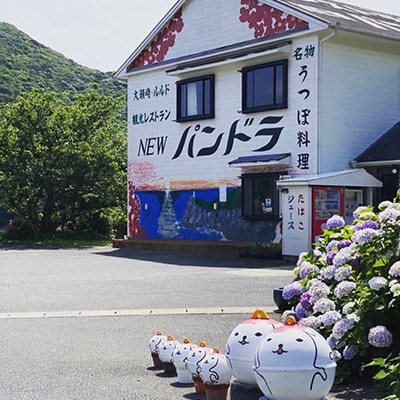 五島美豚 しゃぶしゃぶセット 2〜3人前 (バラ・だし・〆のうどん・柚子胡椒) / NEWパンドラ