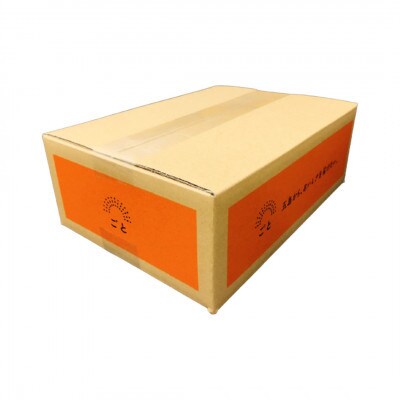 【毎月定期便】五島の鯛で出汁をとったなんにでもあうカレー4種(各2袋)全6回