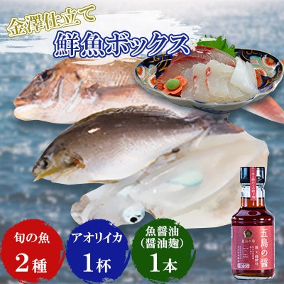 長崎県五島市産旬の魚2種&アオリイカ300gと魚醤油麹150mlセット【金沢鮮魚】