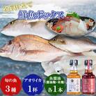 長崎県五島市産旬の魚3種&アオリイカ300gと魚醤油麹2種セット【金沢鮮魚】