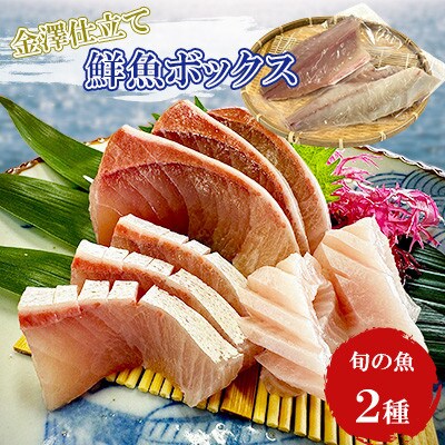 五島市産 旬の魚 2種セット【金沢鮮魚】