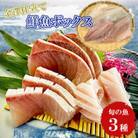 五島市産 旬の魚 3種セット【金沢鮮魚】