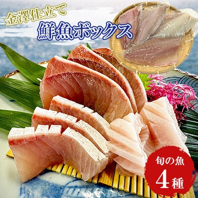 五島市産 旬の魚 4種セット【金沢鮮魚】