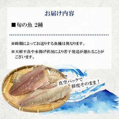 【毎月定期便】五島市産 旬の魚 2種セット【金沢鮮魚】全12回