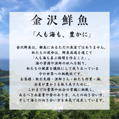 【毎月定期便】五島市産 旬の魚 2種セット【金沢鮮魚】全12回