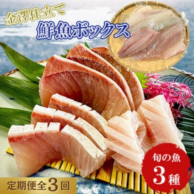 【毎月定期便】五島市産 旬の魚 3種セット【金沢鮮魚】全3回