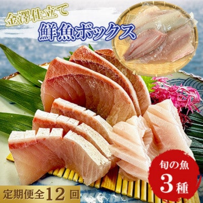 【毎月定期便】五島市産 旬の魚 3種セット【金沢鮮魚】全12回