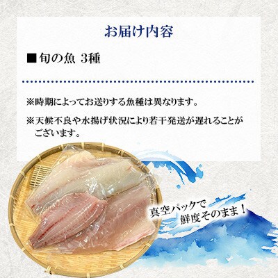 【毎月定期便】五島市産 旬の魚 3種セット【金沢鮮魚】全12回