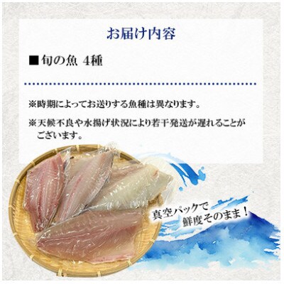 【毎月定期便】五島市産 旬の魚 4種セット【金沢鮮魚】全3回