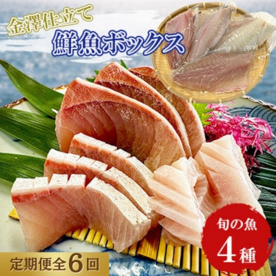 【毎月定期便】五島市産 旬の魚 4種セット【金沢鮮魚】全6回
