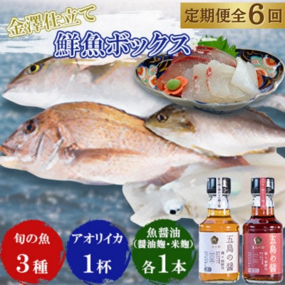 【毎月定期便】長崎県五島市産旬の魚3種&アオリイカ300gと魚醤油麹2種セット【金沢鮮魚】全6回