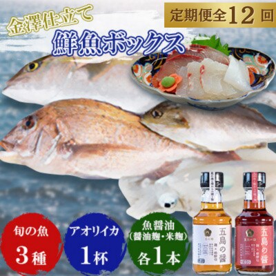 【毎月定期便】長崎県五島市産旬の魚3種&アオリイカ300gと魚醤油麹2種セット【金沢鮮魚】全12回