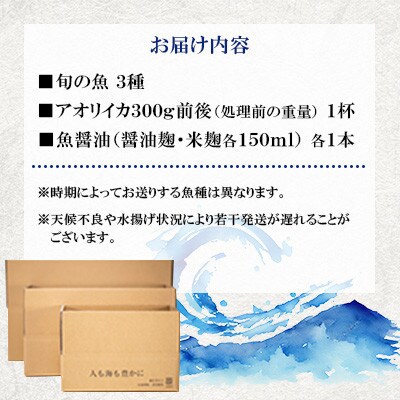 【毎月定期便】長崎県五島市産旬の魚3種&アオリイカ300gと魚醤油麹2種セット【金沢鮮魚】全12回